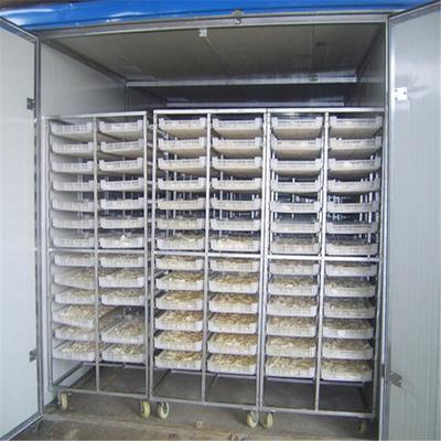 熱風循環(huán)烘干箱 農產品深加工的得力助手
