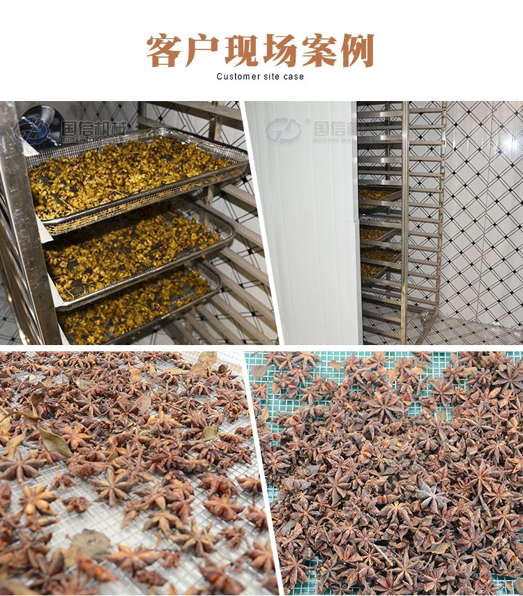 國信八角烘干機 茴香干燥、中藥材脫水的全自動化解決方案